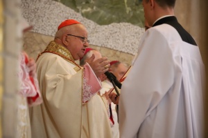 kardynał Stanisław dziwisz